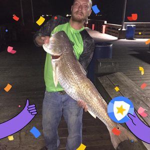 Meet your Posher, Jameson